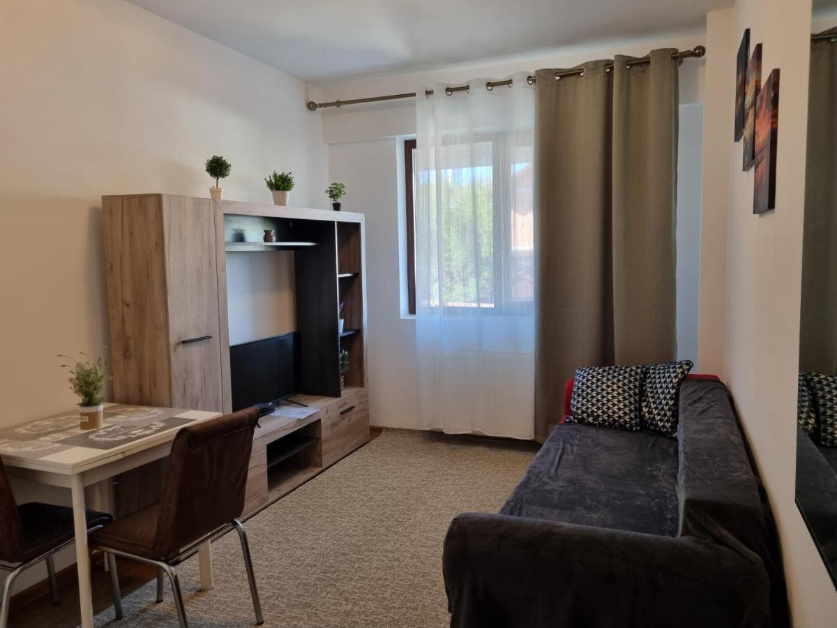 Ultracentral & Cozy, Palas Apt Iasi Exterior foto